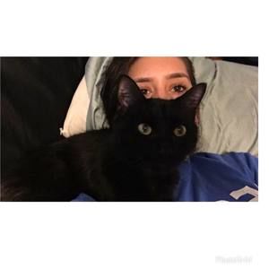 Meet your Posher, Shayna